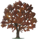 Late Fall Tree