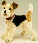 Foxy Fox Terrier