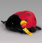 Crabby Ladybird