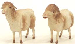 Sheep