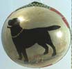 Black Labrador