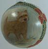 Cairn Terrier