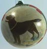 Chocolate Labrador