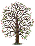 Budding Spring Tree
