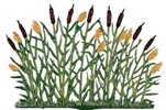 Standing Cattails