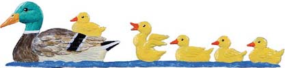 Duck Family