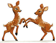 Fawns
