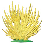 Standing Sunflowers