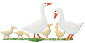 Geese Family
