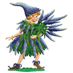 Speedwell Girl