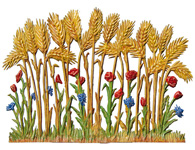 standing wheat
