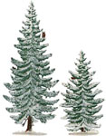 Winter Pines