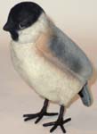 Chickadee
