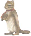 Chipmunk