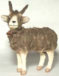 Small Goat