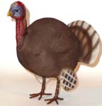 Turkey