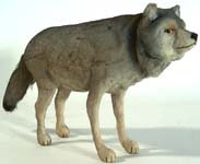 NO No Wolf